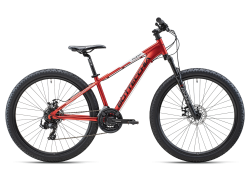 BOTTECCHIA 107